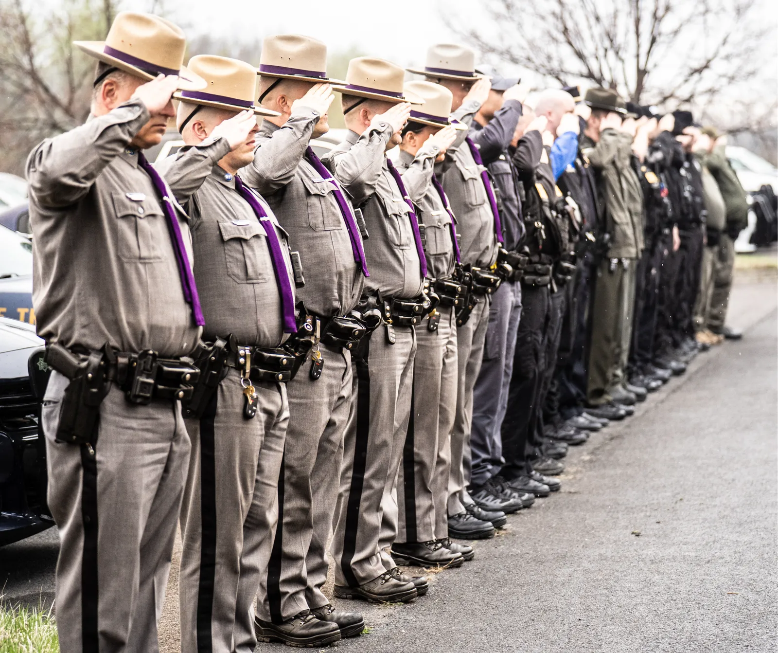 A line of uniformed officers in hats and grey uniforms with purple ties, saluting.