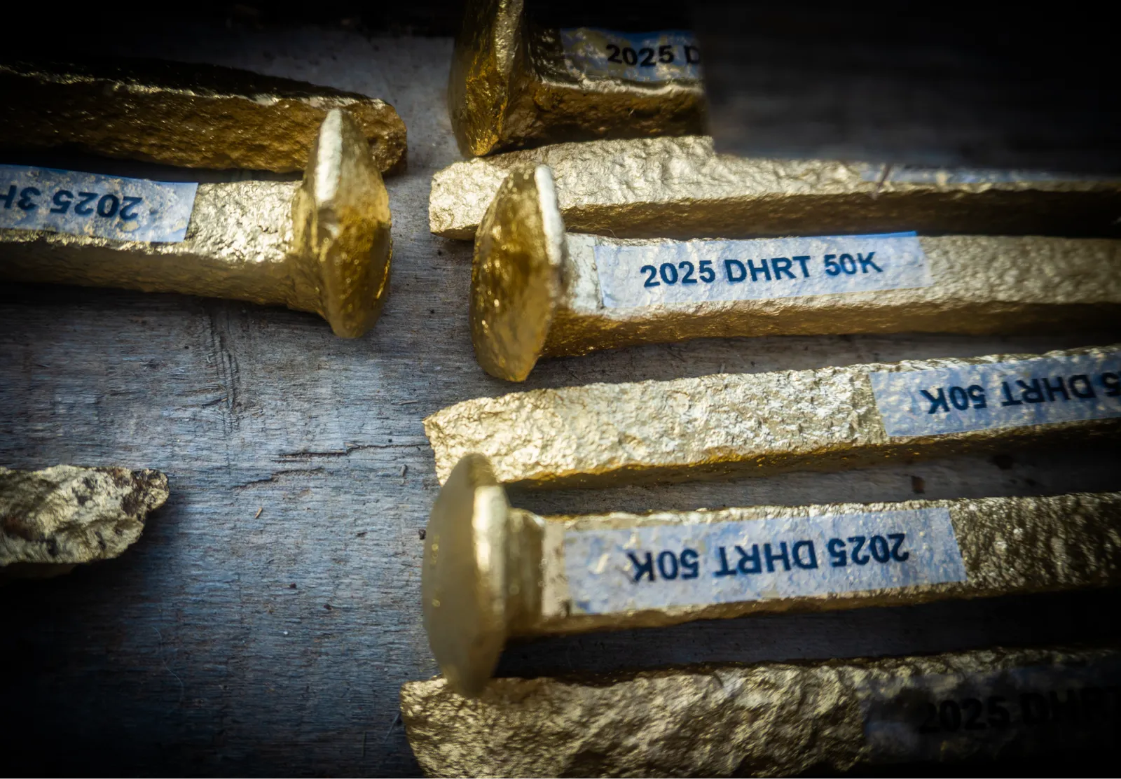 Close-up of golden railroad spikes labeled '2025 DHRT 50K', likely awards for a race.