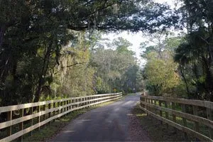 A paved road lined with wooden fences curves through a forest with Spanish moss hanging from trees.