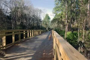 Wooden bridge over a trail surrounded by trees.