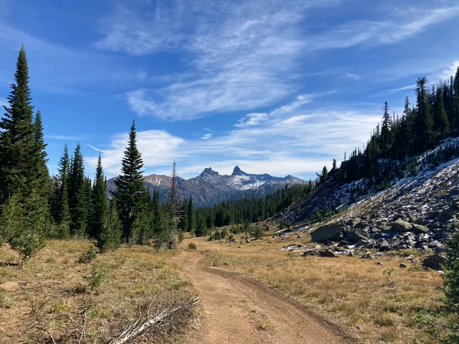 A dirt road winds through a grassy, mountainous landscape with pine trees and snow-capped peaks in the distance under a blue sky with wispy clouds.