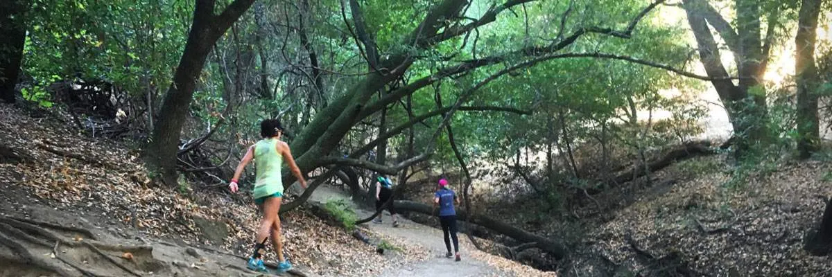 Runners on a wooded trail with sunlight filtering through the trees.