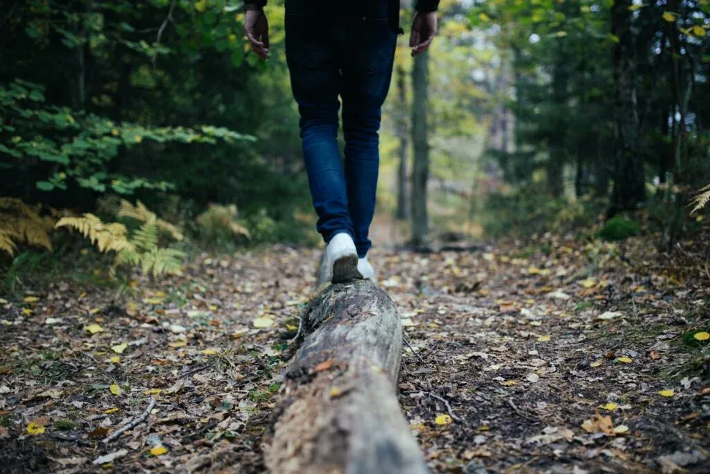 A person walks across a fallen log on a leaf-covered forest trail.