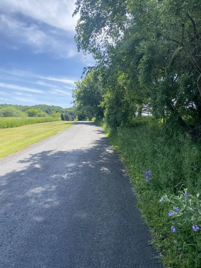 A paved path winds through a grassy field and alongside trees under a blue sky with wispy clouds.