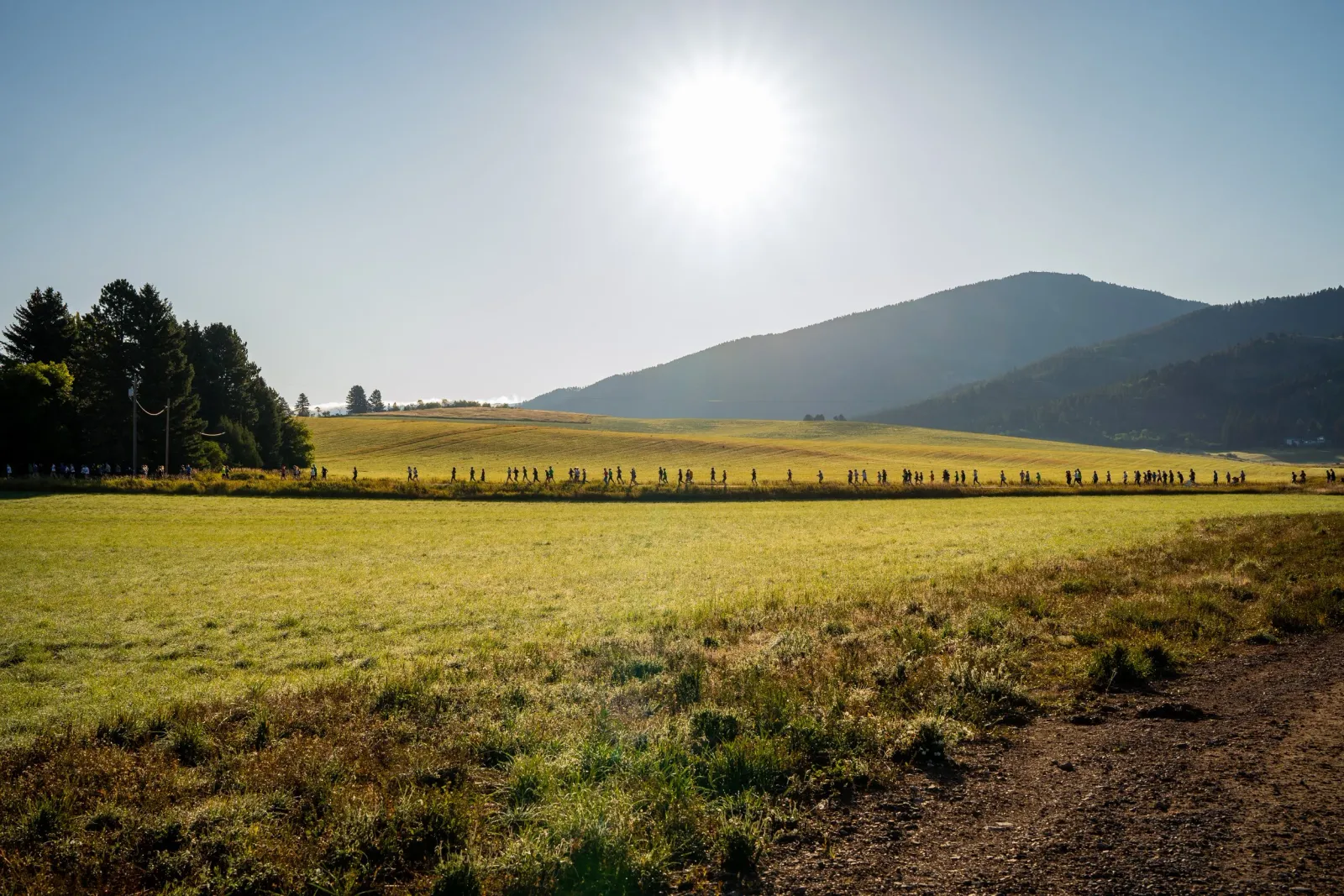 A line of runners on a path through a grassy field with trees and mountains in the background under a bright sun.