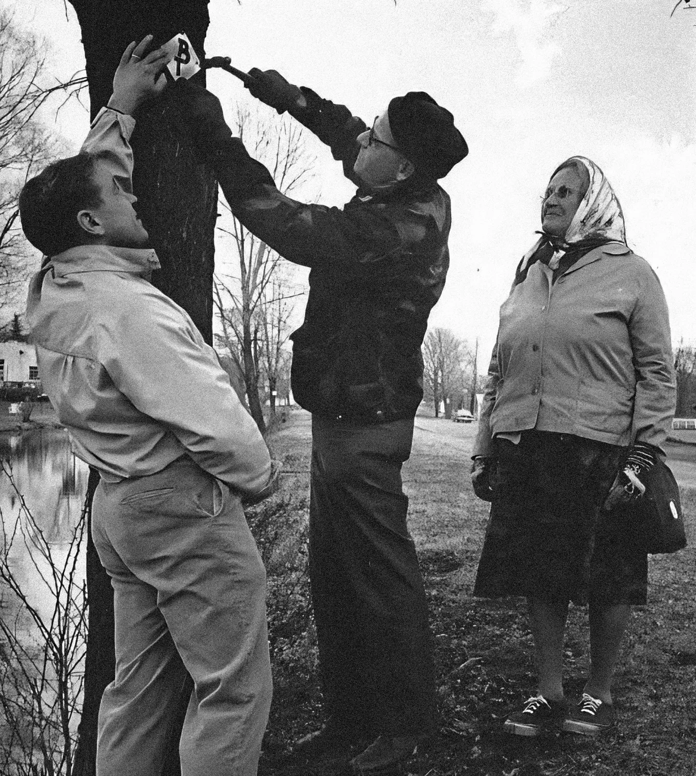 Three people are gathered around a tree, with one person hammering a sign onto it, while another person holds the sign and a third person watches.