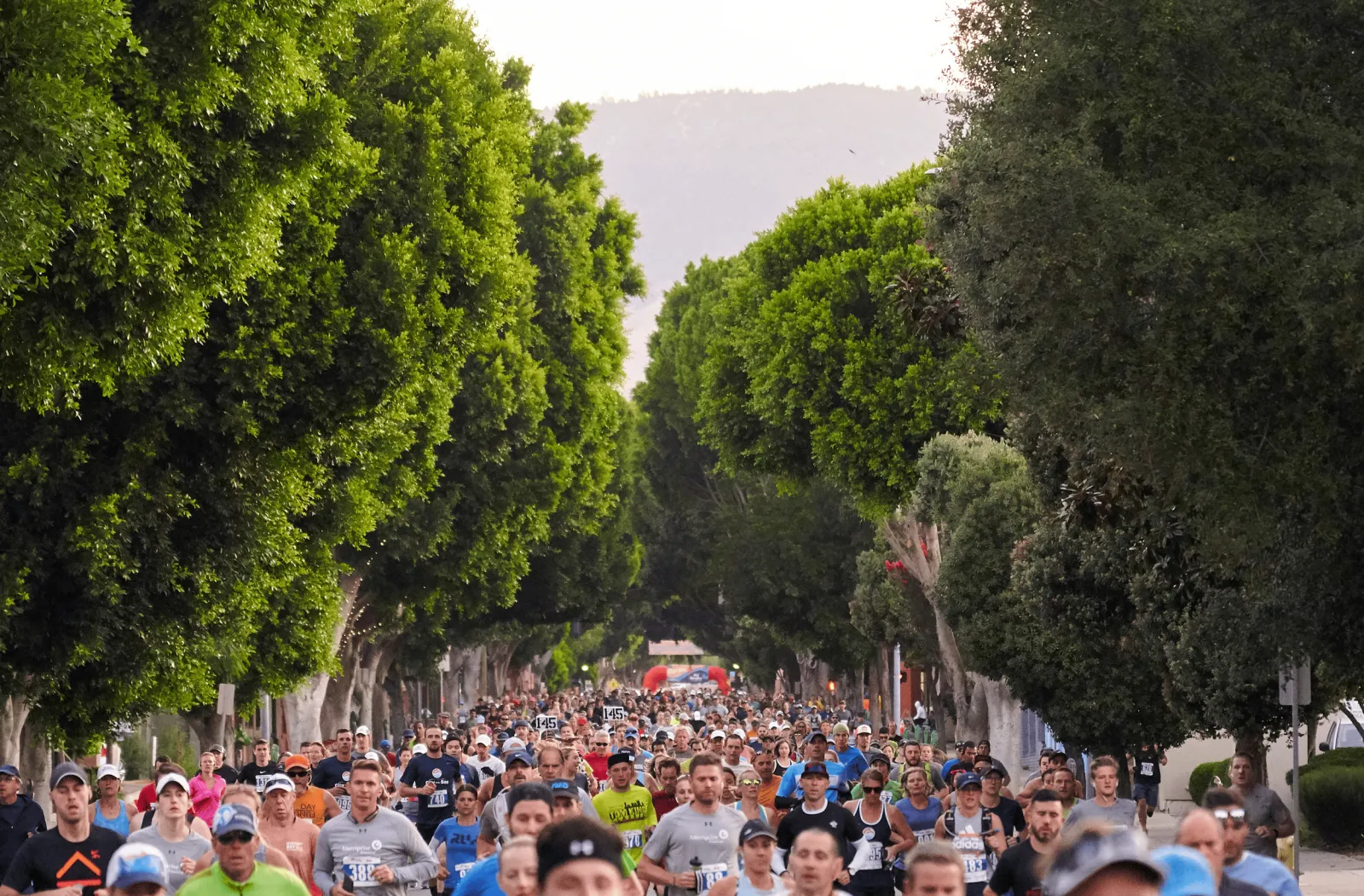 A large group of runners participating in a half marathon, running down a street lined with trees.