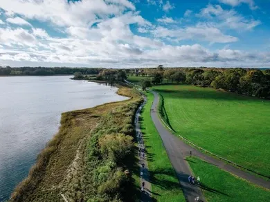 Aerial view of runners on a paved path alongside a lake and green fields.