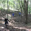 Runners ascending a wooded trail with fallen leaves on the ground.