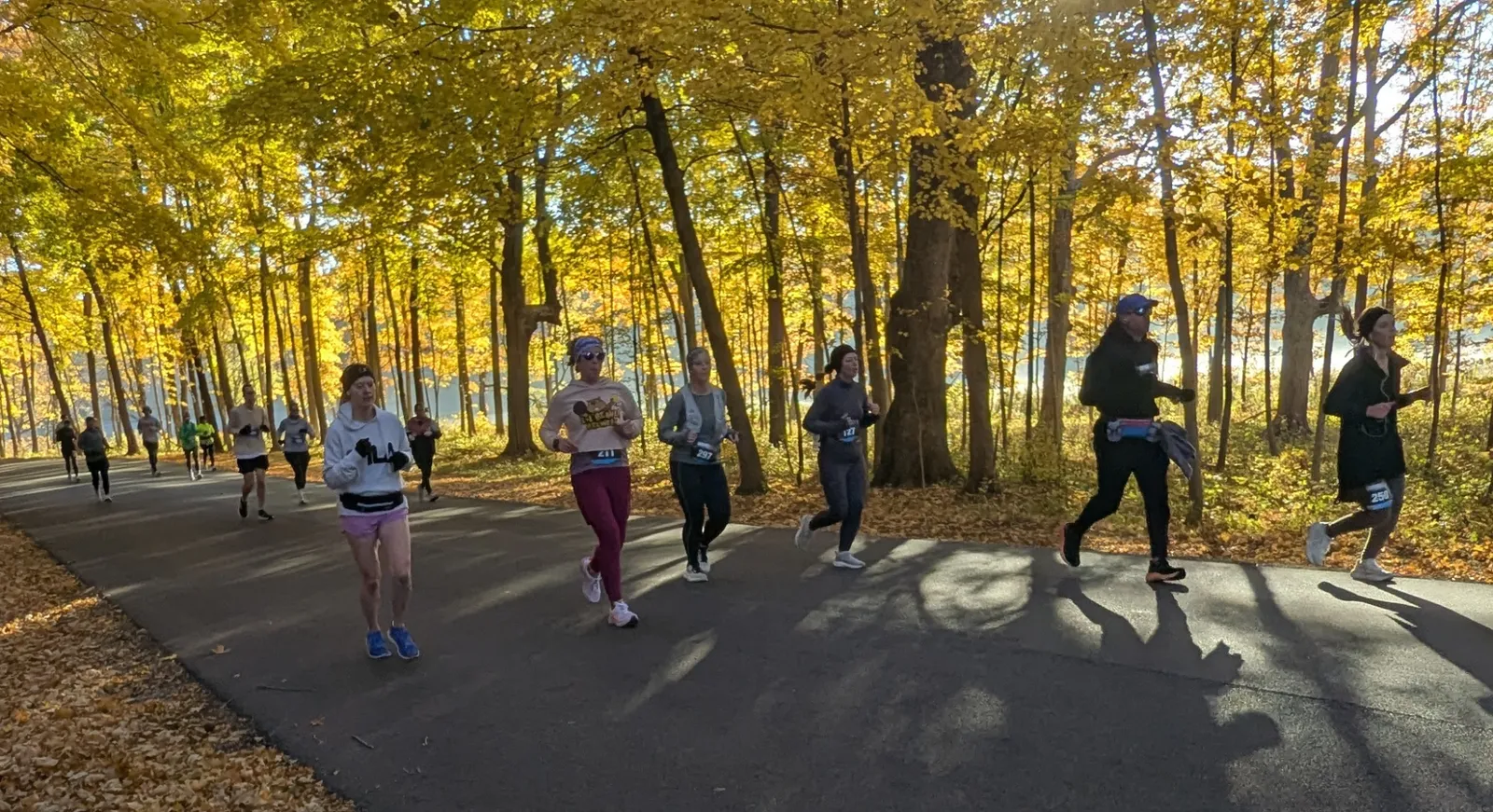 Runners on a paved path surrounded by trees with yellow and orange fall leaves.