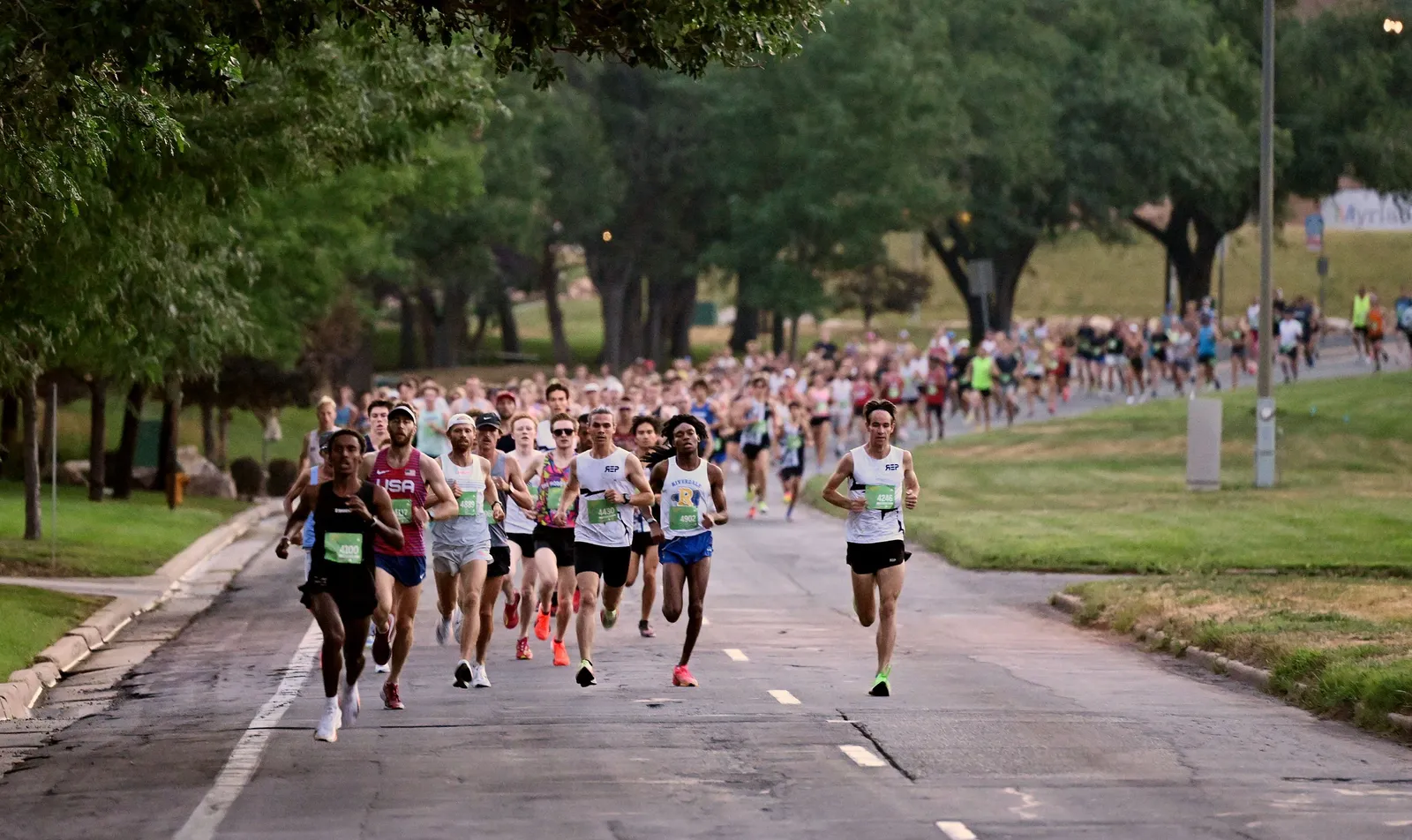A group of runners competing in a road race, with trees lining the course.