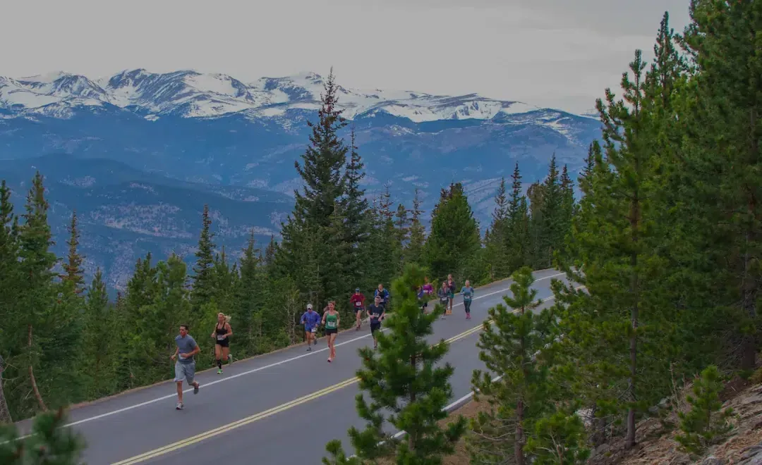 Runners on a paved road with a backdrop of snow-capped mountains and pine trees.