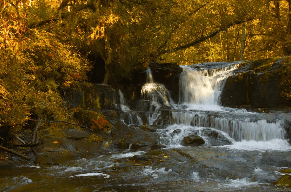 A scenic waterfall cascades over rocks in a forest with golden autumn foliage.