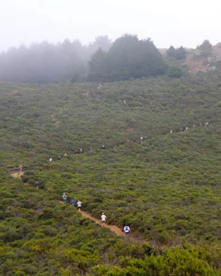 Runners on a winding trail through a green, hilly landscape with fog in the background.