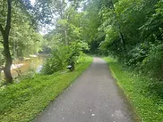A paved trail winds alongside a river through a lush green forest.