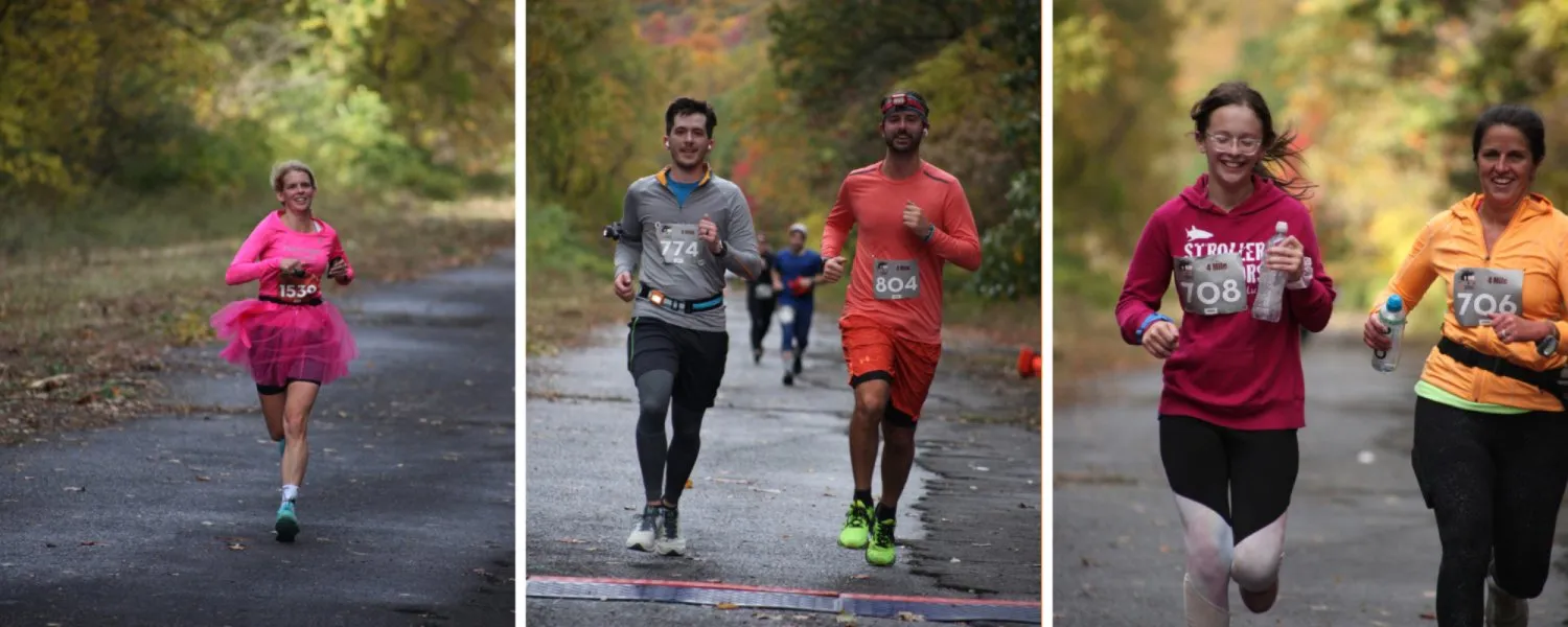 Runners participating in a race on a road surrounded by autumn trees.