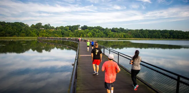 Runners on a boardwalk over a lake with trees in the background.