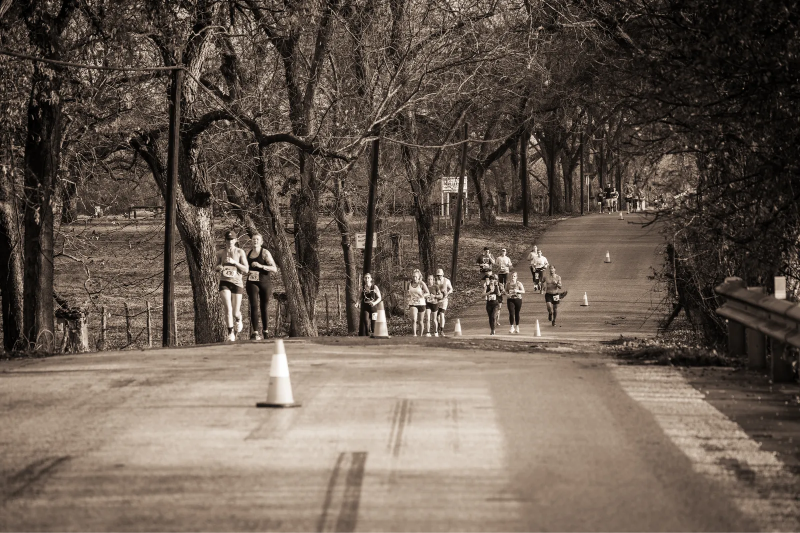 Runners on a tree-lined road during a race.