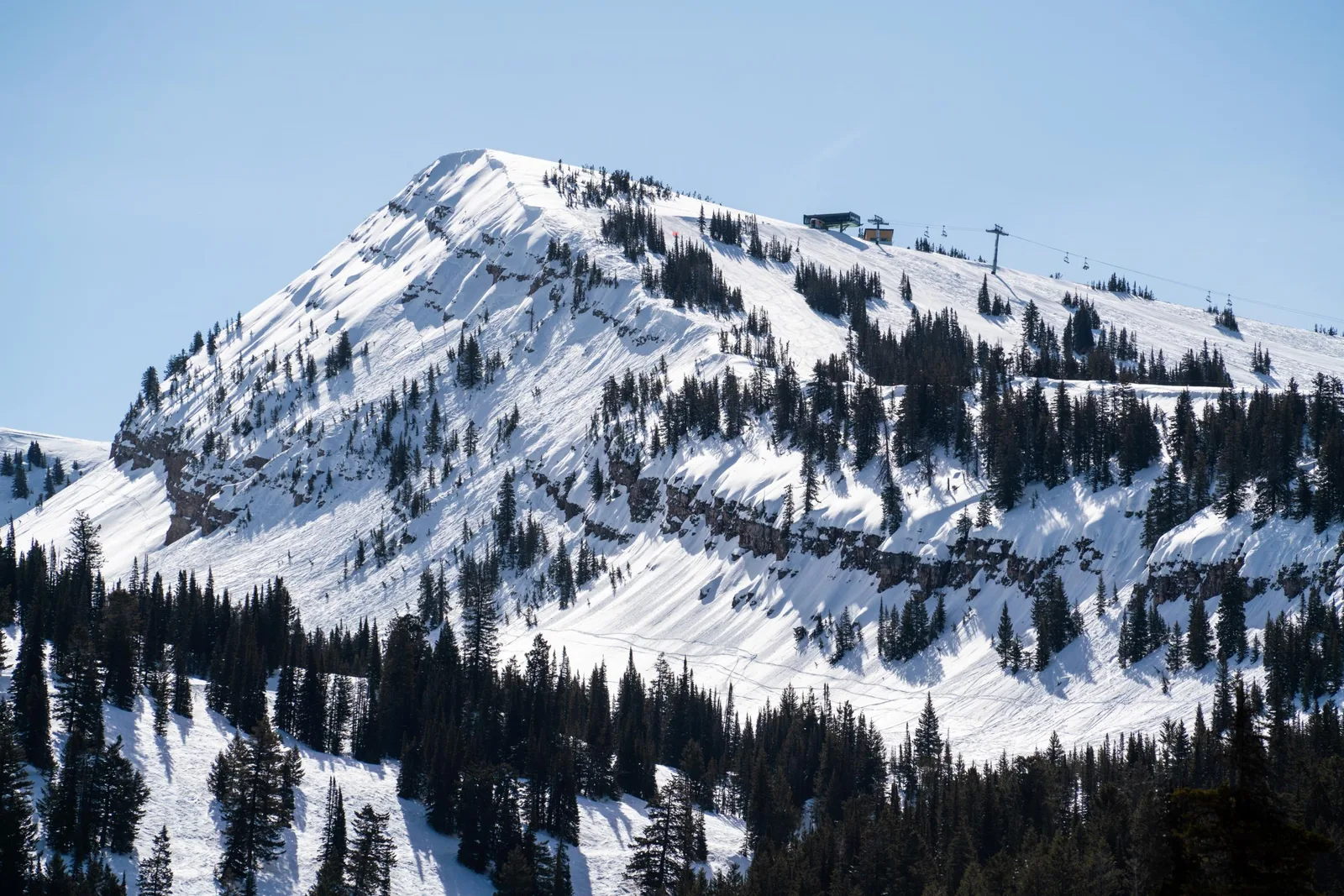 Grand Targhee Wildflower Run photo 9