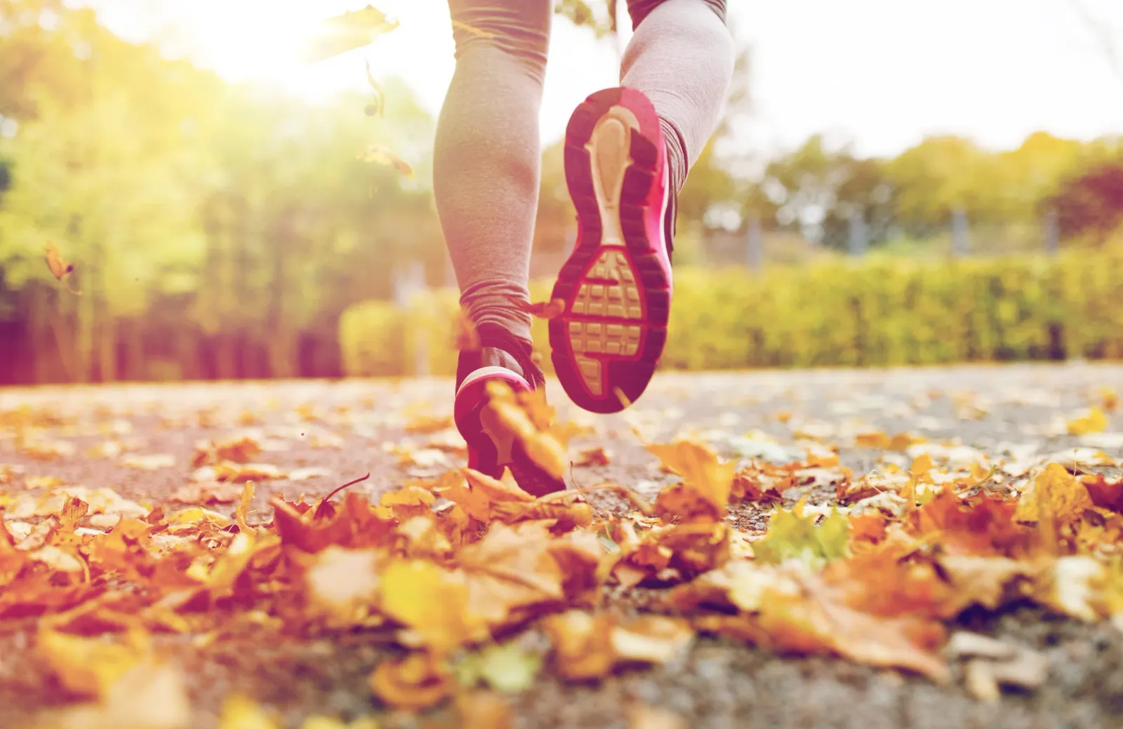 Close-up of a runner's legs and shoes as they run through fallen autumn leaves on a path, with sunlight filtering through the trees.