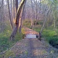 A wooded trail with a small wooden bridge crossing a shallow ditch.