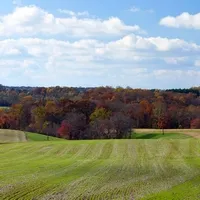 Rolling green fields with a treeline showing autumn colors under a blue sky with white clouds.