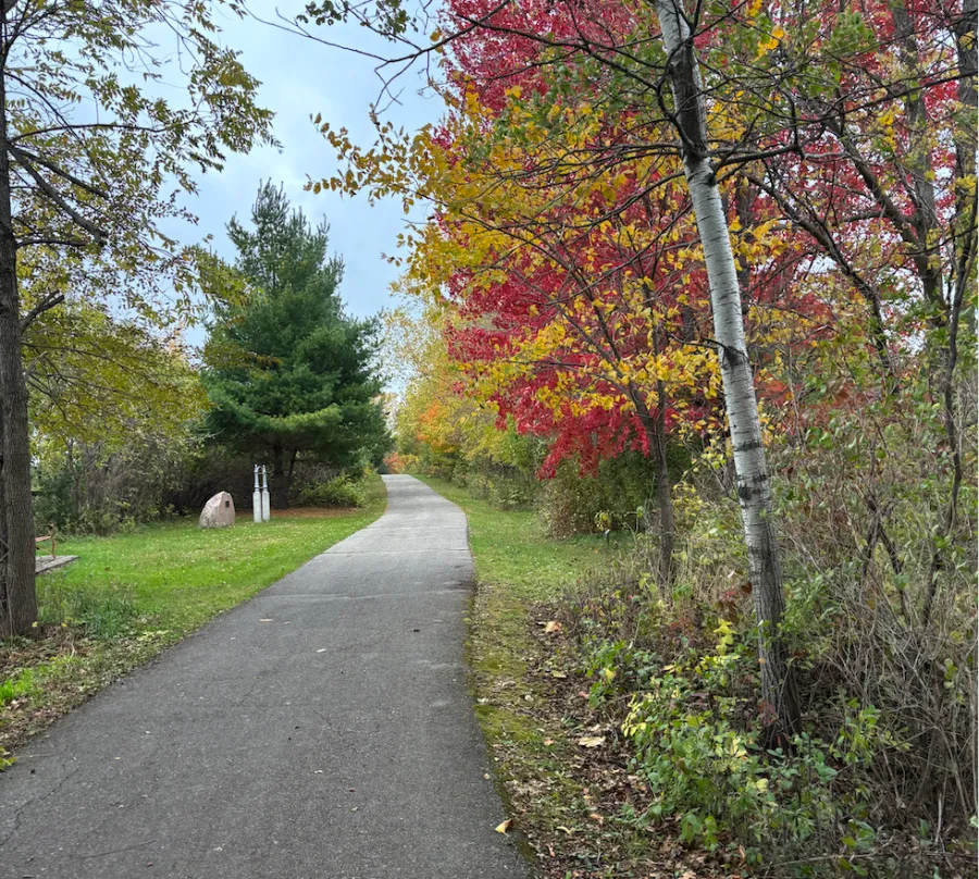 A paved path winds through a forest with vibrant red and yellow autumn leaves on the trees.