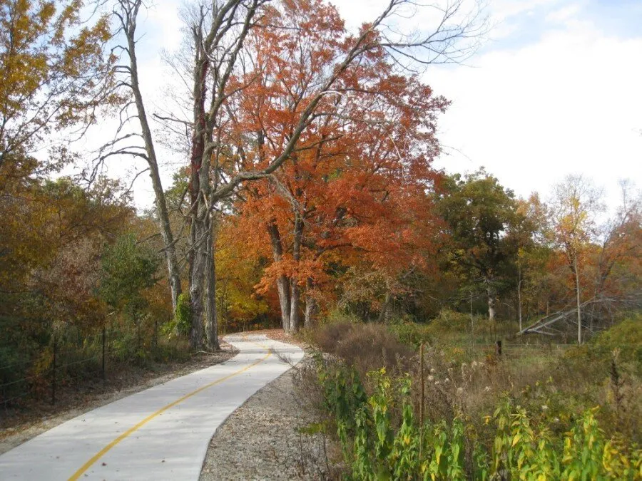 A paved path with a yellow line curves through a forest with trees displaying vibrant orange and yellow autumn foliage.