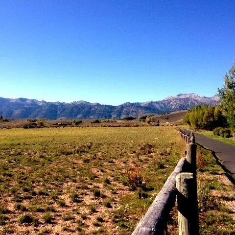 Scenic view of a paved road with a wooden fence, leading towards mountains under a clear blue sky.