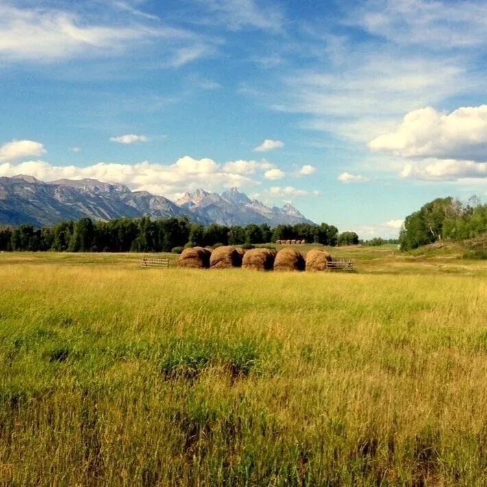 Scenic view of a field with hay bales and mountains in the background, representing a section of the race course.