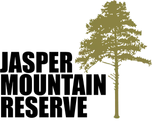 Jasper Mountain Trail Fest 2026 logo