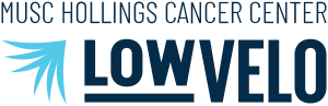 LOWVELO26 logo