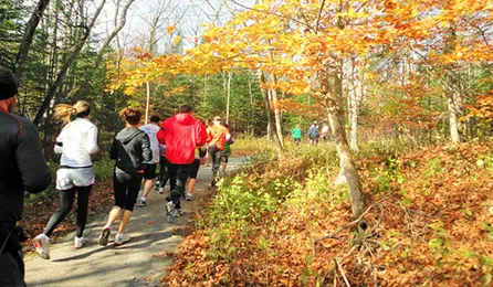Runners on a paved path through a forest with autumn foliage.