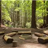 A clearing in a forest with log seating arranged around a fire pit.