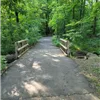 Mindy Creek Trail Races photo 8