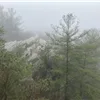 Mountain Creek Mayhem photo 6