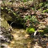 Mountain Creek Mayhem photo 8