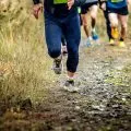 Runners on a mountain trail during a race.