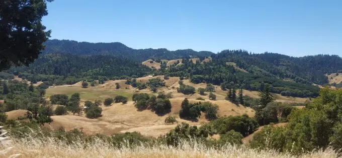Scenic view of rolling hills and trees under a clear blue sky, likely part of the race course.