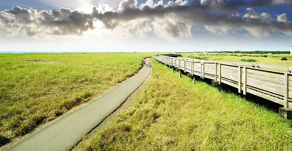 A paved path curves through a grassy field next to a wooden boardwalk, with a few distant figures walking on the path under a dramatic sky.