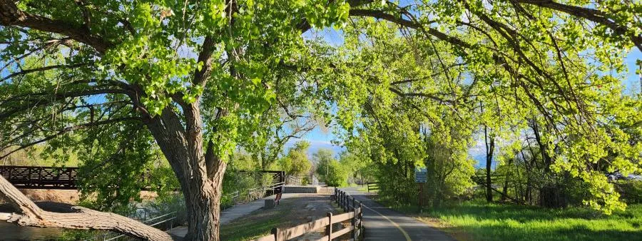 A paved path winds through a park-like setting with a wooden bridge in the background and lush green trees overhead.