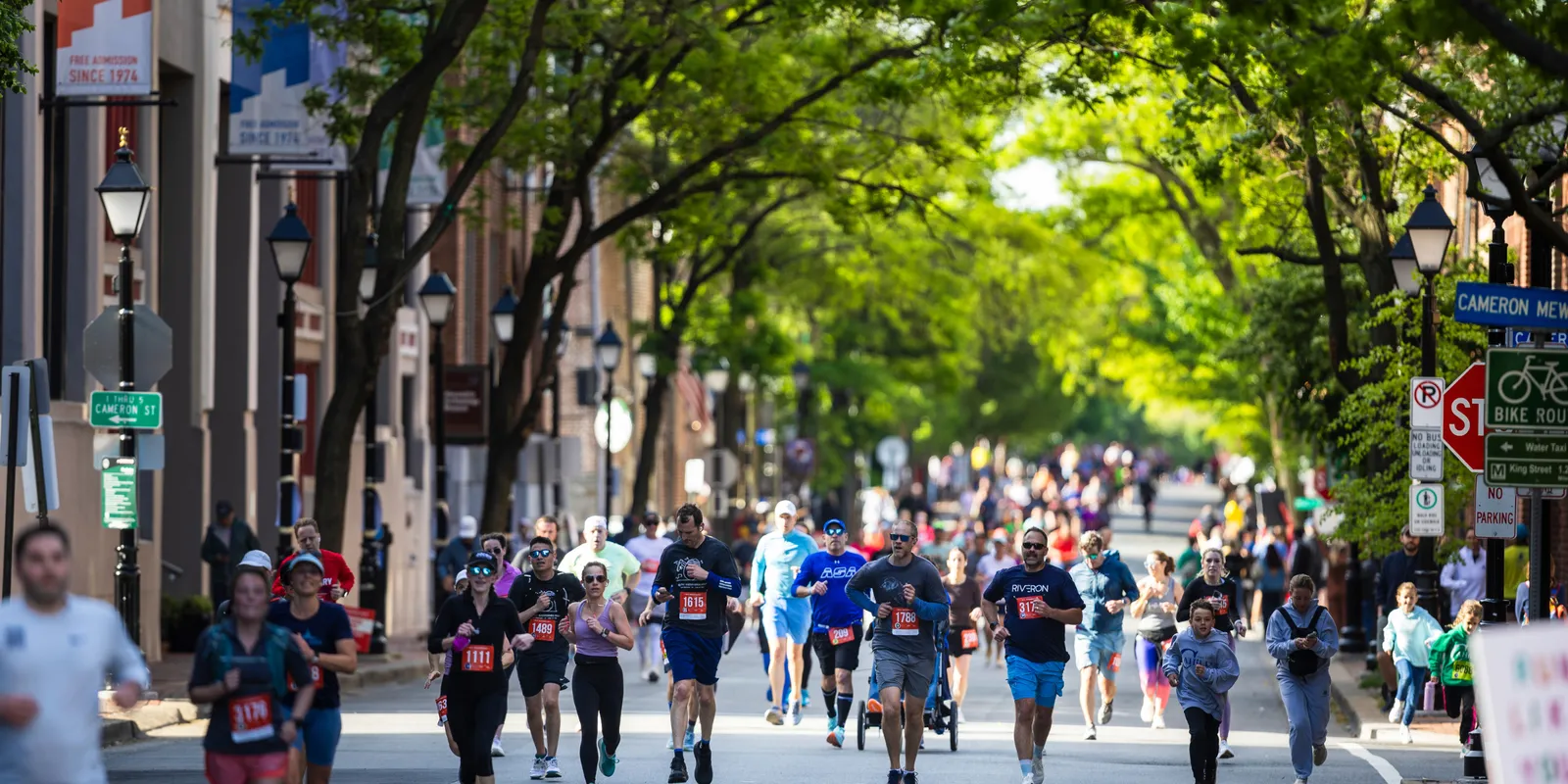 Runners participating in a half marathon on a sunny day, with trees lining the urban street and buildings in the background.