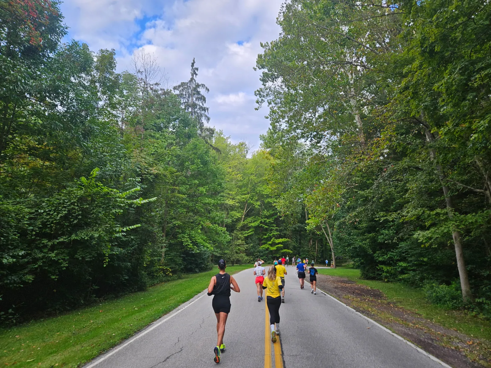 Runners on a paved road surrounded by lush green trees.