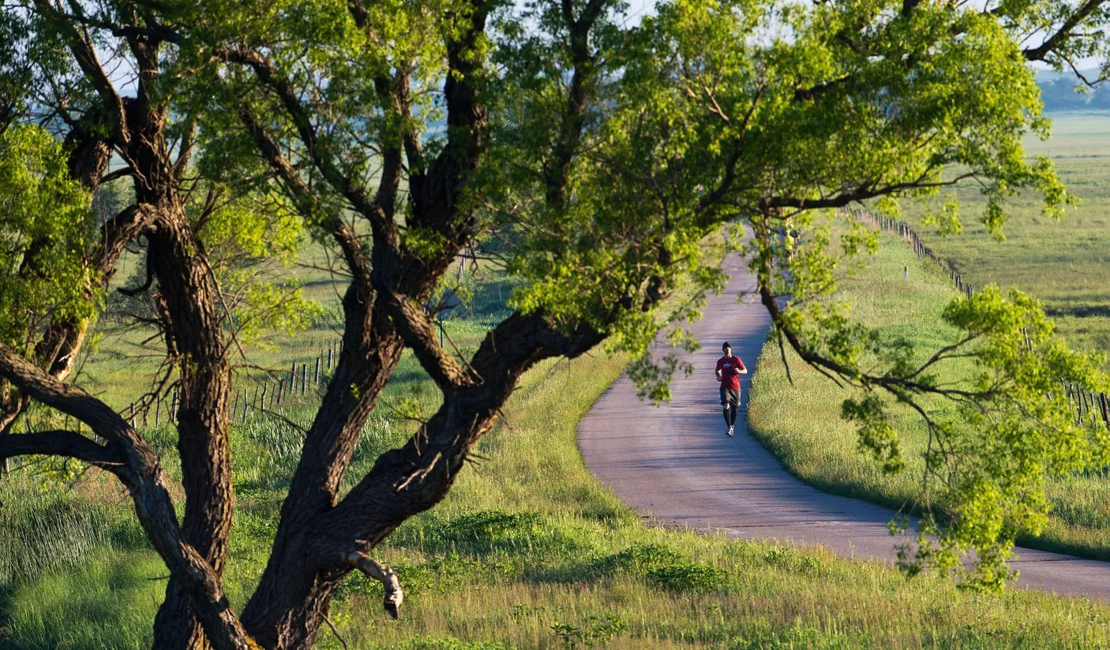 A lone runner in a red shirt runs on a paved road through a grassy, tree-lined landscape.