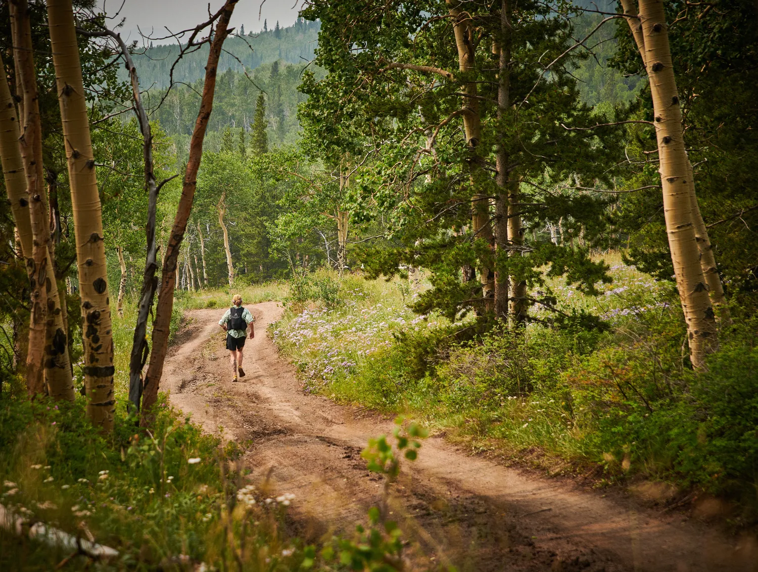 A runner with a backpack runs on a dirt trail through a forest with aspen trees and wildflowers.