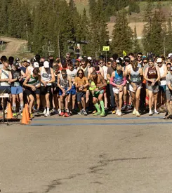 A large group of runners lined up at the start of a road race, with trees and hills in the background.