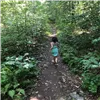 A person walks down a wooded trail.