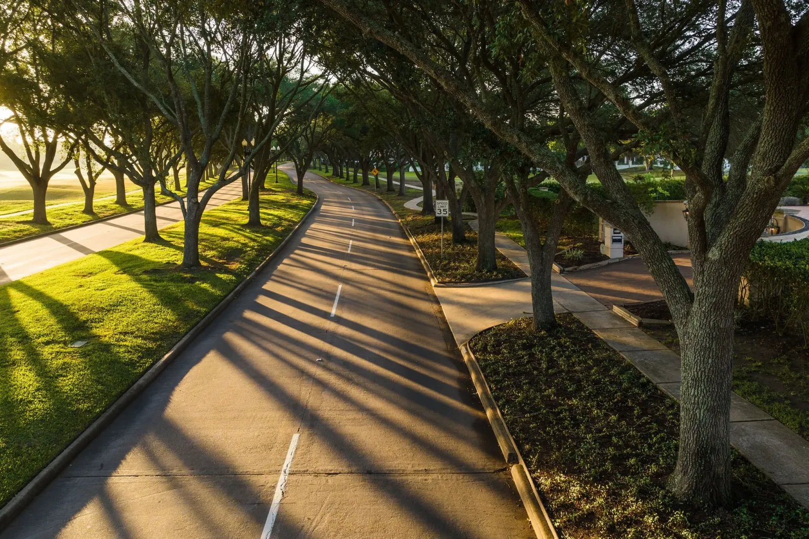 A tree-lined road with sunlight casting long shadows, suggesting a race course.