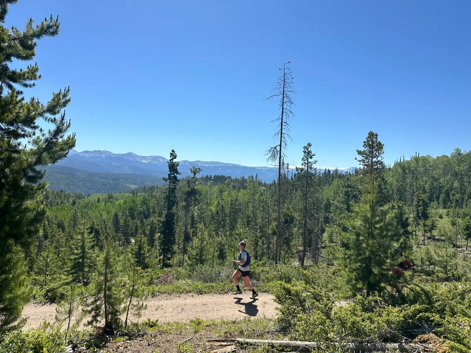 A female runner runs on a dirt trail through a forest with mountains in the distance.