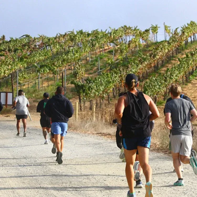 Runners on a dirt path with vineyards on a hillside in the background.
